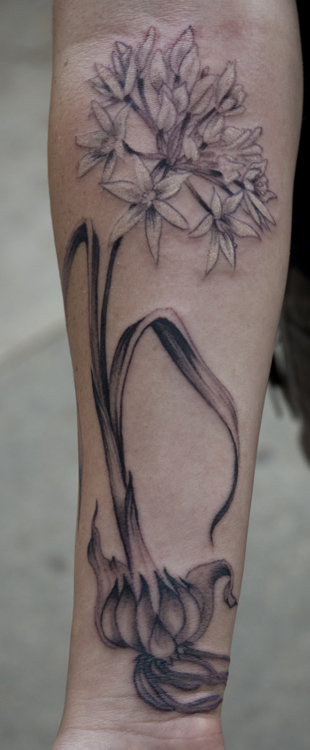 Tattoos - Flowering Garlic Bulb - 28813